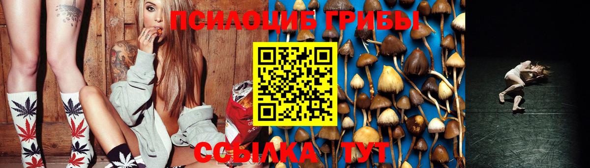 Псилоцибиновые грибы ЛСД Боровичи