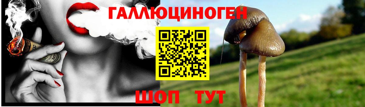 Галлюциногенные грибы MAGIC MUSHROOMS  Вход с VPN  Боровичи  Галлюциногенные грибы ЛСД 